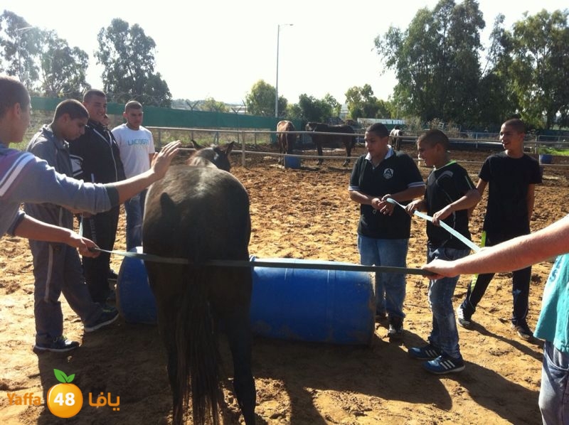 droor re7la ja (3).jpg